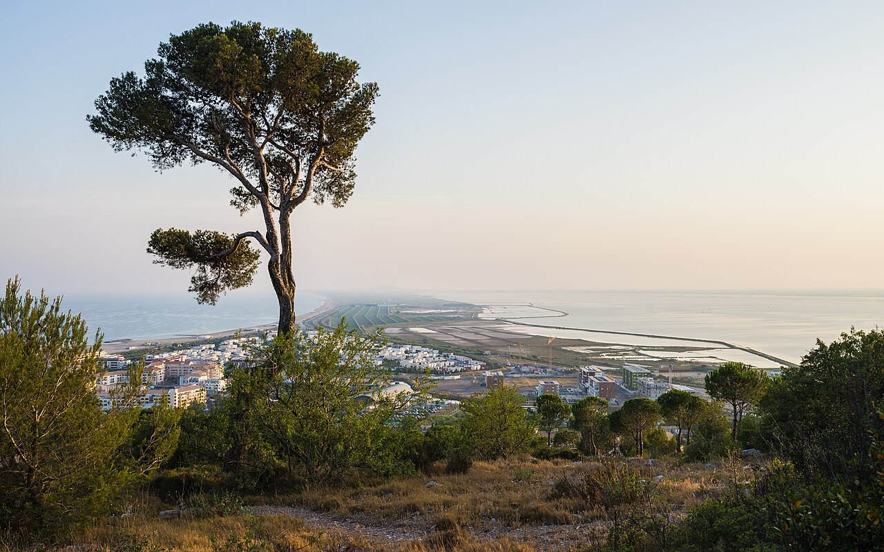 Pin parasol et jardin m�diterran�en face � la mer sur le Mont Saint-Clair